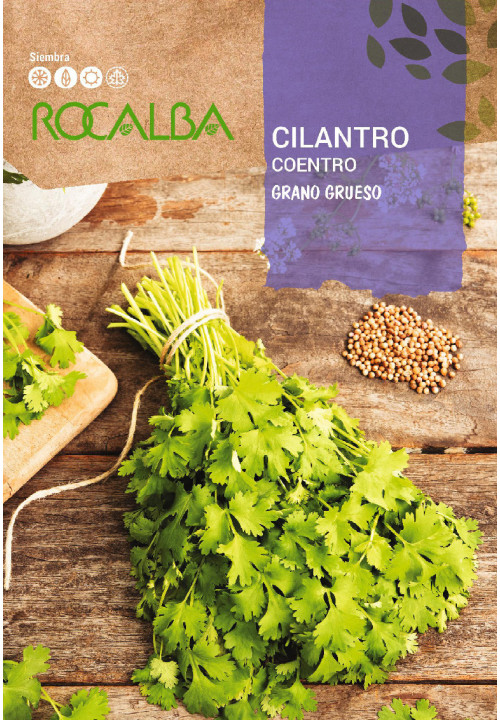 CILANTRO