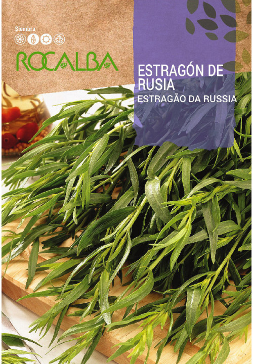 RUSSIAN TARRAGON