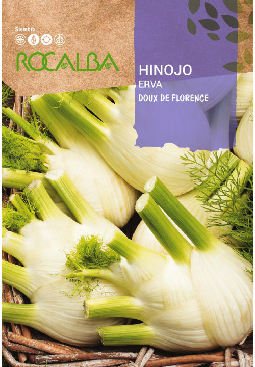 FENNEL