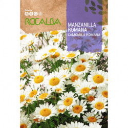 ROMAN CAMOMILE