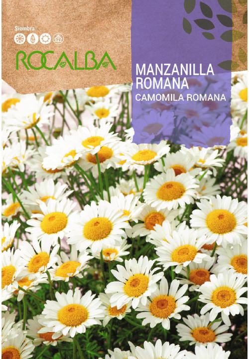 MANZANILLA ROMANA