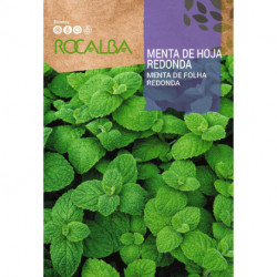 MENTA DE HOJA REDONDA