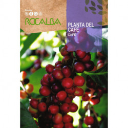 PLANTA DEL CAFÉ