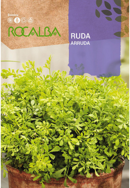 RUDA