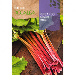 RHUBARBE