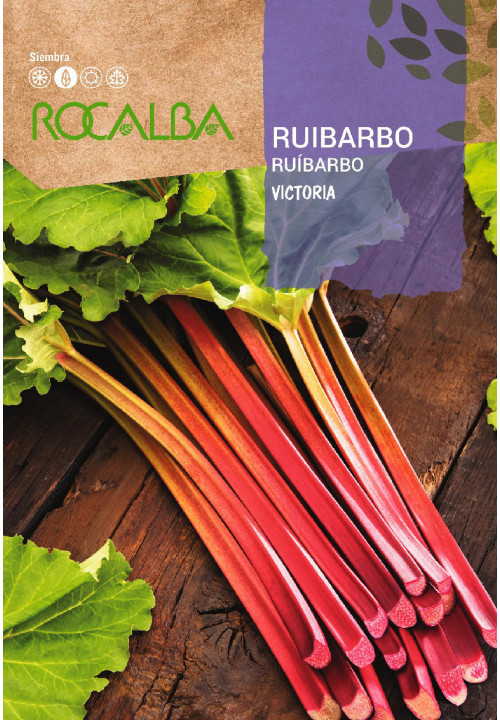 RHUBARB