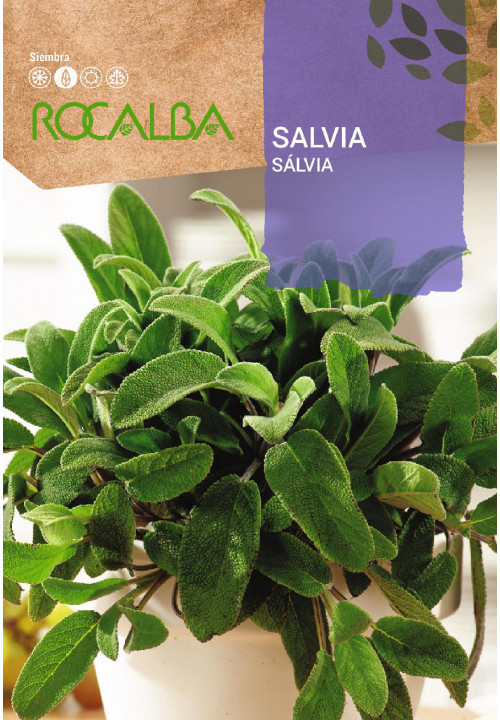 SALVIA