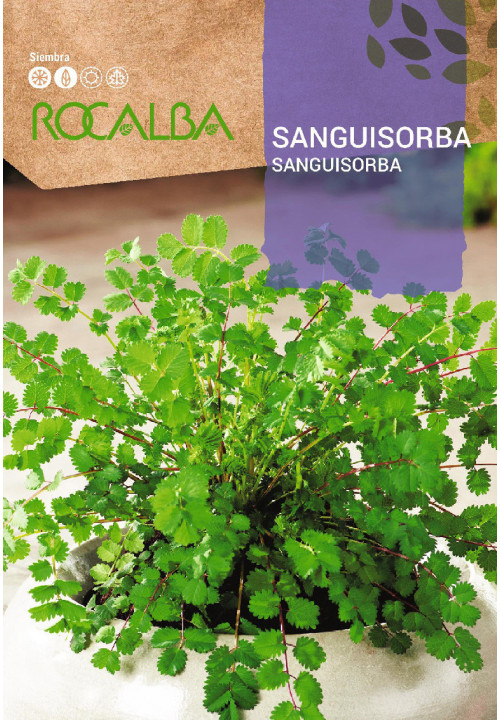 SANGUISORBA