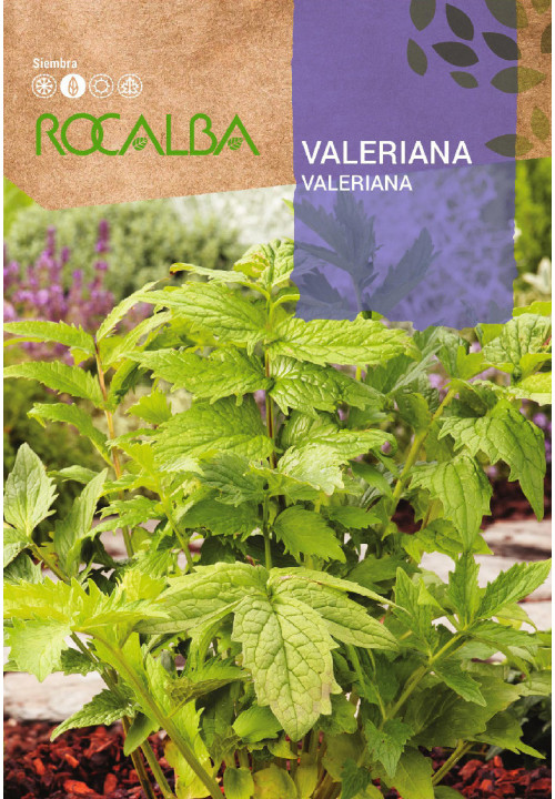 VALERIANA