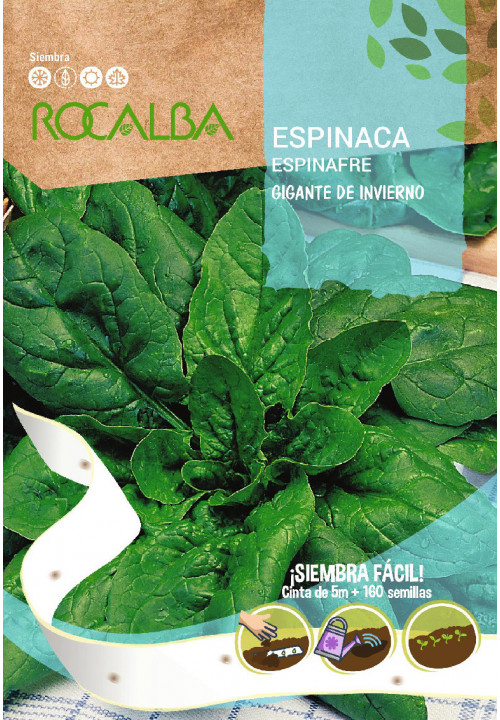 TAPE SPINACH GIGANTE DE INVIERNO