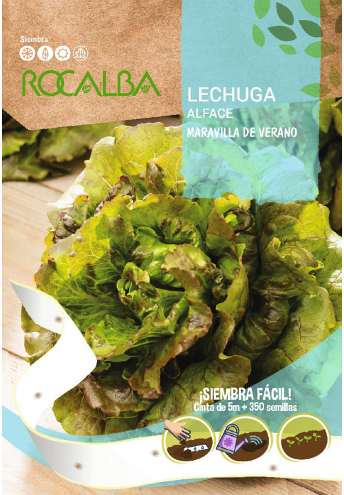 TAPE LETTUCE MARAVILLA DE VERANO