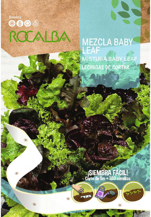 CINTA MEZCLA BABY LEAF LECHUGAS DE CORTAR