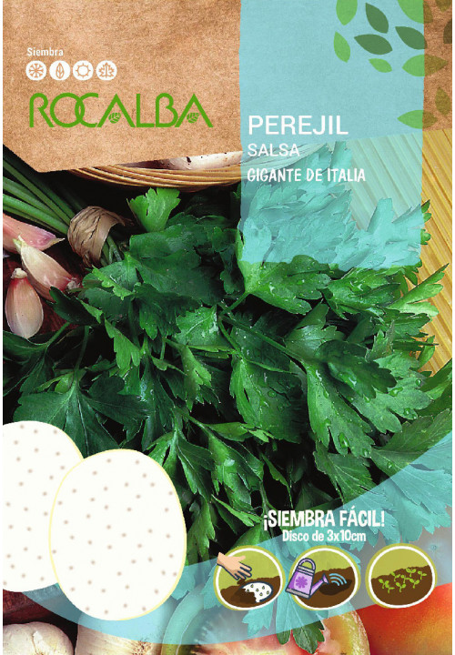 DISC OF PARSLEY GIGANTE DE ITALIA