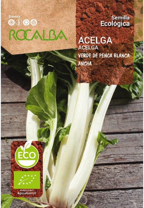 CHARD VERDE DE PENCA BLANCA ANCHA