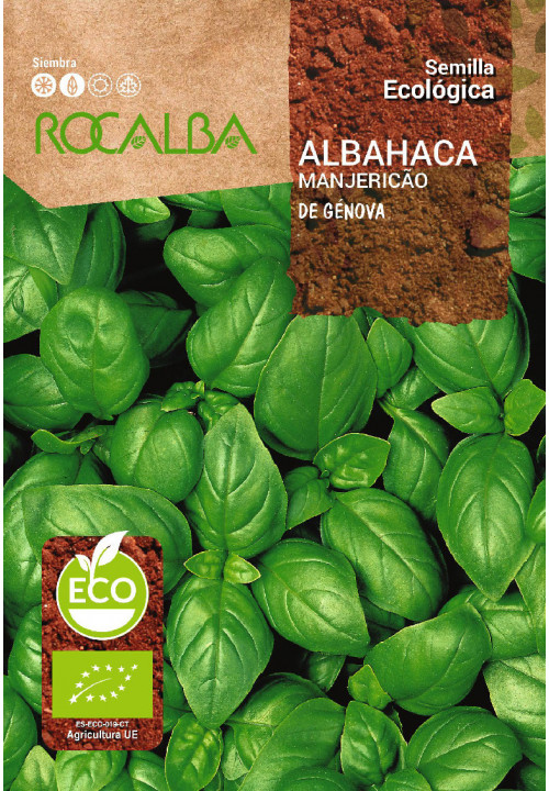 ALBAHACA DE GÉNOVA