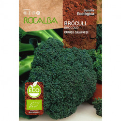 BROCOLI RAMOSO CALABRÉS