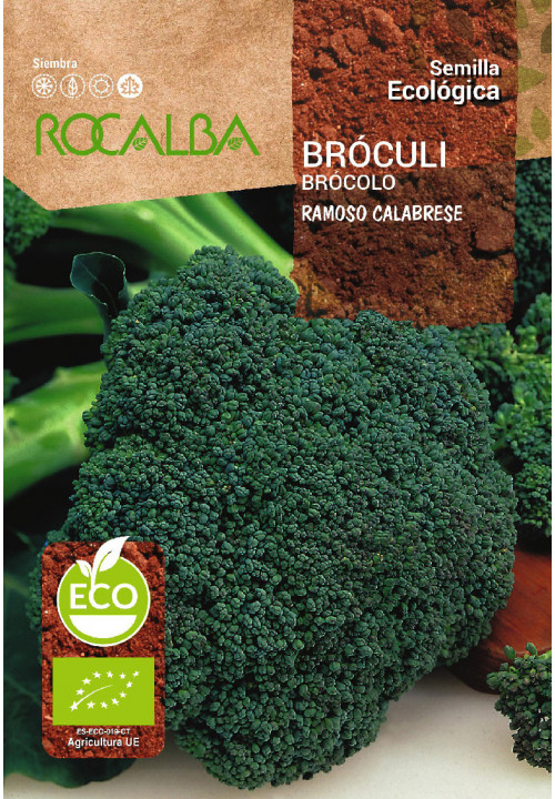 BROCCOLI RAMOSO CALABRÉS