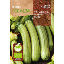 CALABACÍN GENOVESE