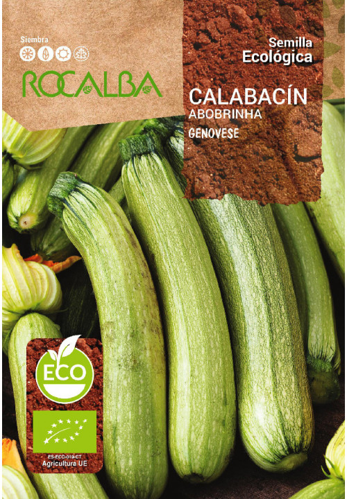 CALABACÍN GENOVESE