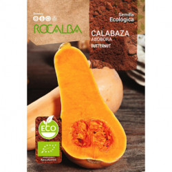 CALABAZA Butternut