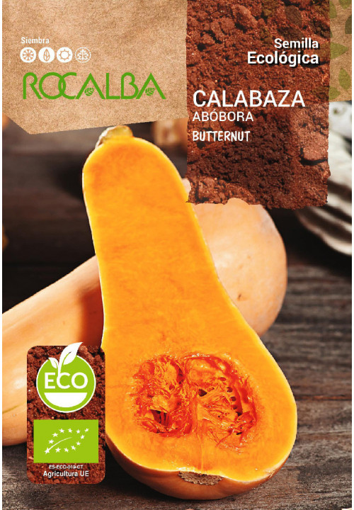 CALABAZA Butternut