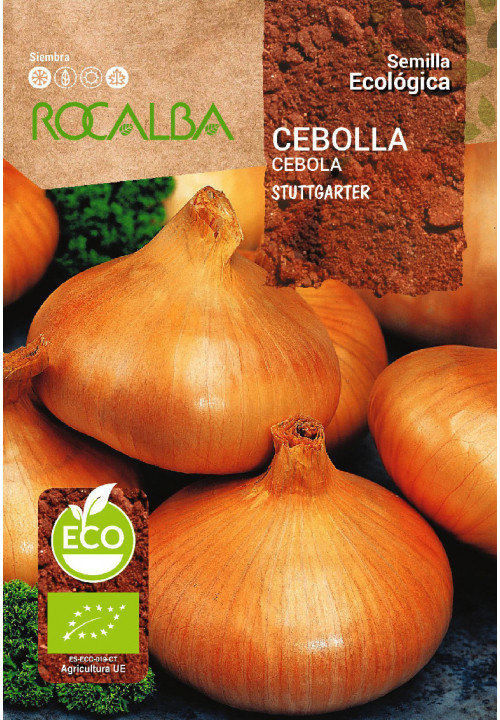 CEBOLLA STUTTGARTER