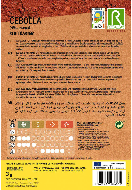 CEBOLA STUTTGARTER