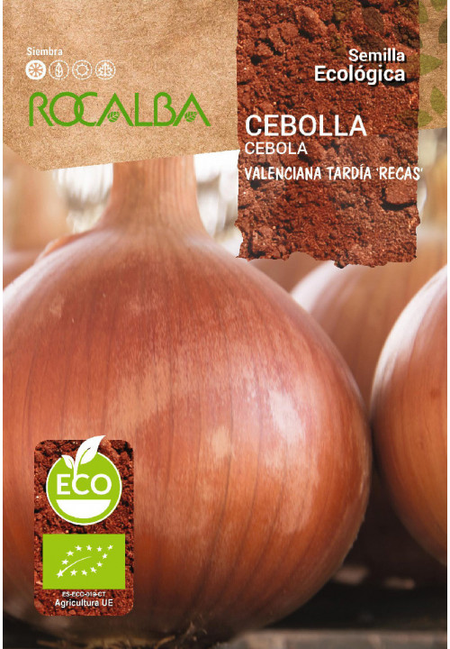 CEBOLLA VALENCIANA TARDÍA 'RECAS'