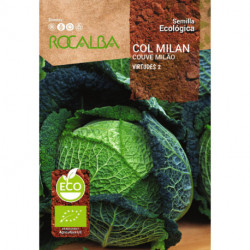 SAVOY CABBAGE VIRTUDES 2