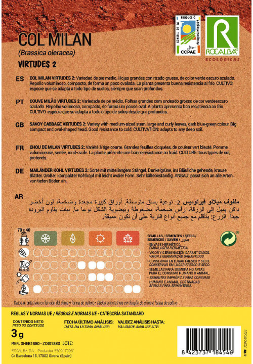 SAVOY CABBAGE VIRTUDES 2