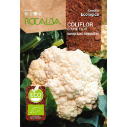 COLIFLOR NAPOLETANO GENNARESE