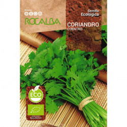 CORIANDER 