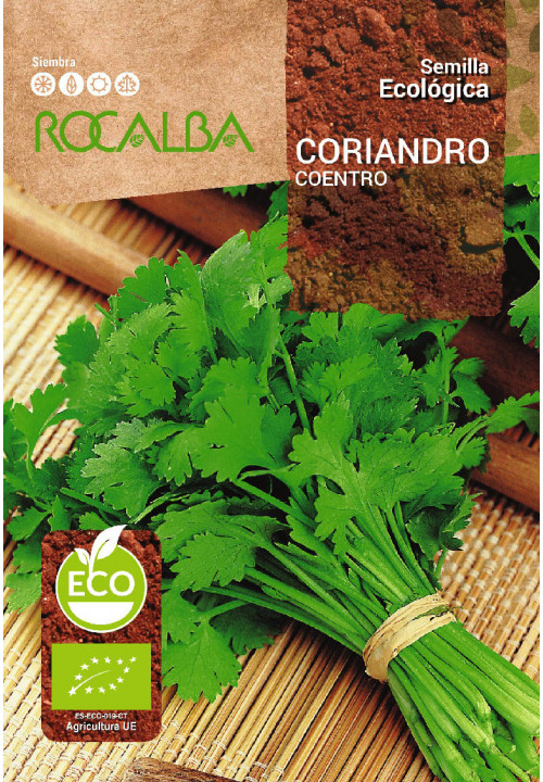 CORIANDER 