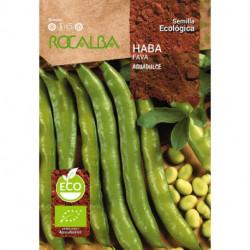 BROAD BEAN AGUADULCE