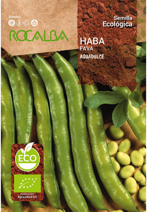 FAVA AGUADULCE