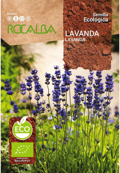 LAVANDA 