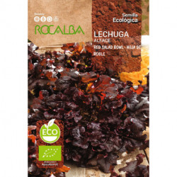 LECHUGA RED SALAD BOWL - HOJA DE ROBLE