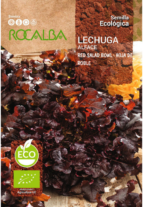 LETTUCE RED SALAD BOWL - HOJA DE ROBLE
