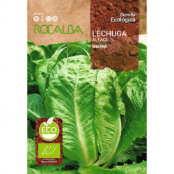 LECHUGA Inverna