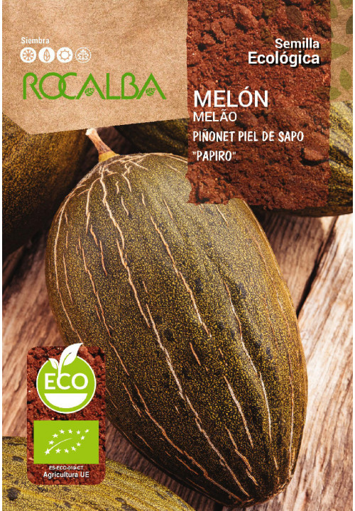 MELON PIÑONET PIEL DE SAPO 'PAPIRO'