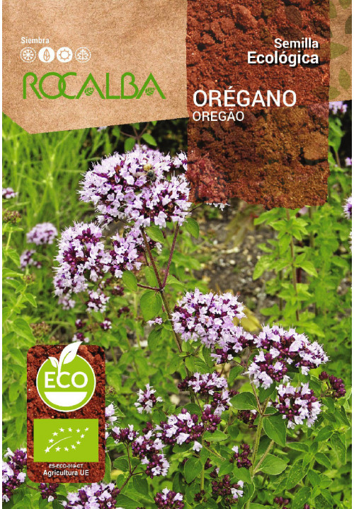 OREGANO 