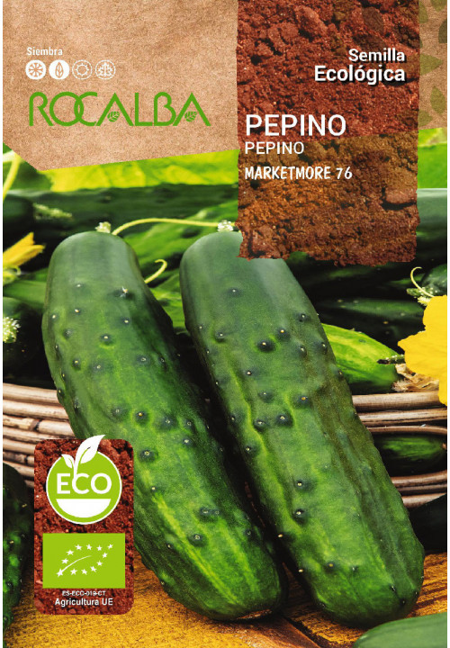 PEPINO MARKETMORE 76