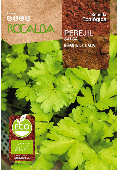 PARSLEY GIGANTE DE ITALIA