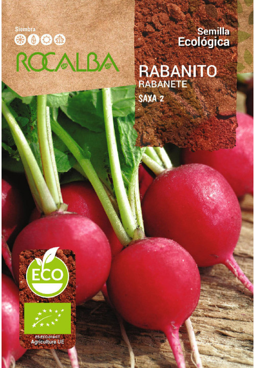 RADISH SAXA 2