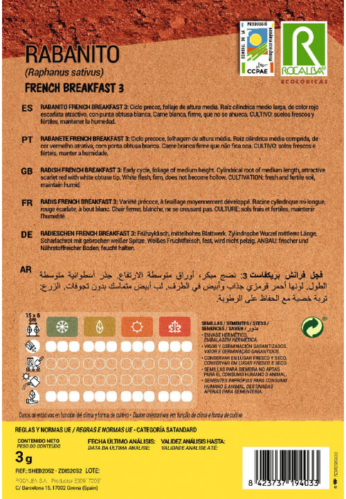 RABANITO FRENCH BREAKFAST 3