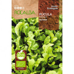 RÚCULA CULTIVADA