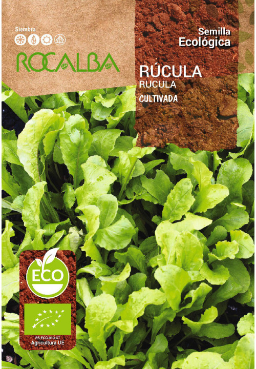 ROQUETTE CULTIVADA