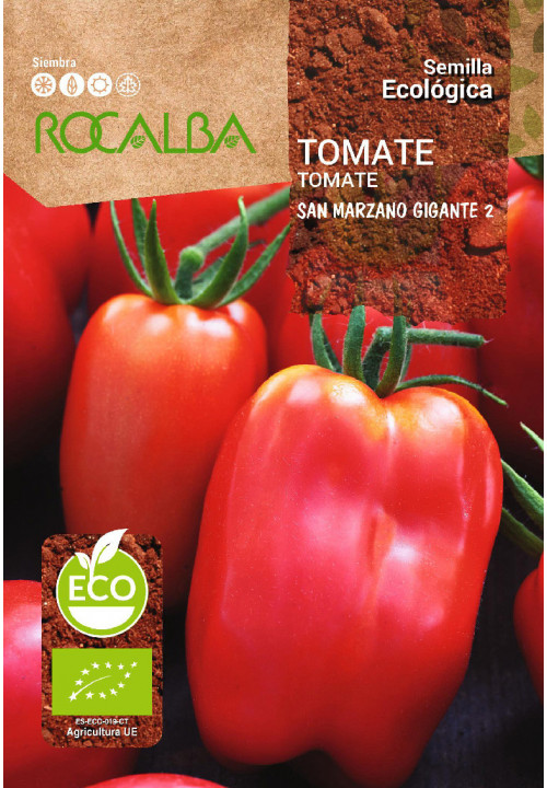 TOMATO SAN MARZANO GIGANTE 2