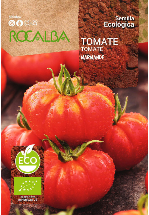 Tomate Marmande