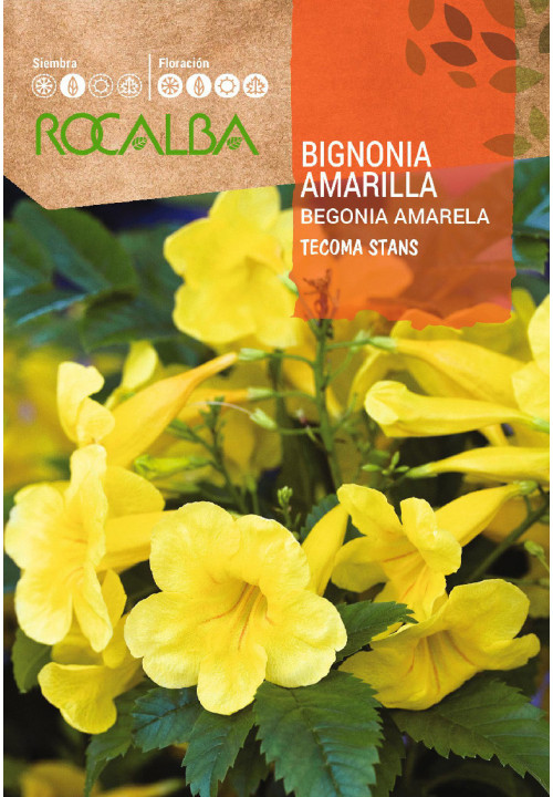 BIGNONIA AMARILLA